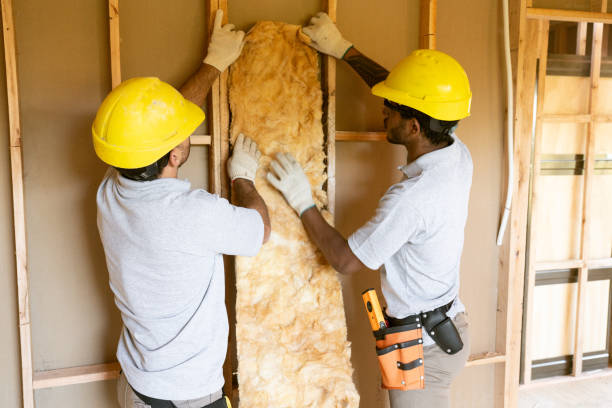 Best Eco-Friendly or Green Insulation Solutions  in Brock Hall, MD